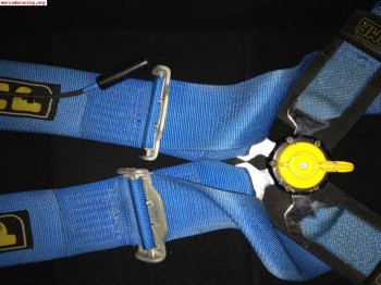 Se venden arneses caducados