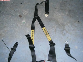 Se vende arnes sabelt 40€