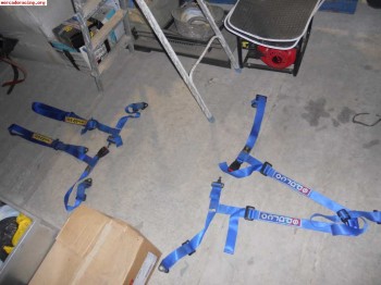 2 arneses por 40 euros 