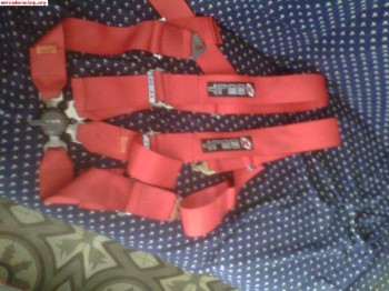 Arnes 4 puntos 60€