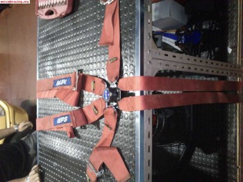 Arneses bps homologados hasta diciembre 2013