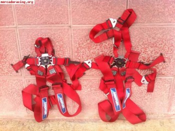 Bacquets y arneses caducados 