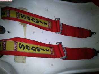 Se venden 2 arneses de 4 y 6 puntos 100 euros