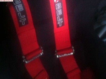 Vendo arneses belt 70€ los dos