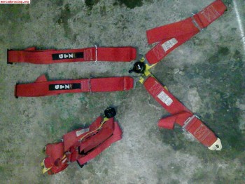 Se venden arneses gtz