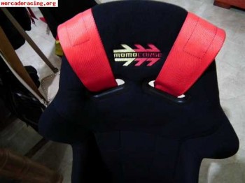 Venta material: baquets, arneses, guías... (momo corse)