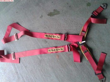 Arneses sabelt cadudados