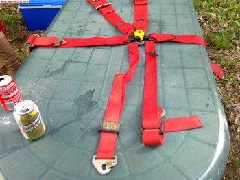 Arneses omp de 6 puntos