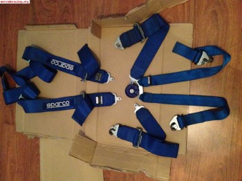 Arneses sparco 6 puntos