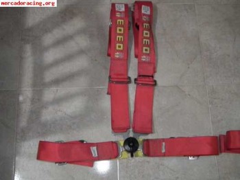 Vendo arnés momo corse