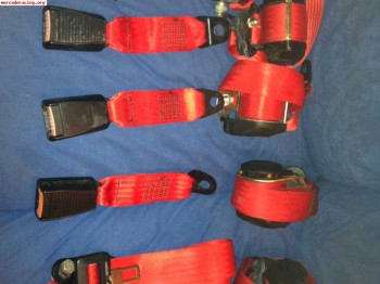 Se venden cinturones rojos cinquecento sporting