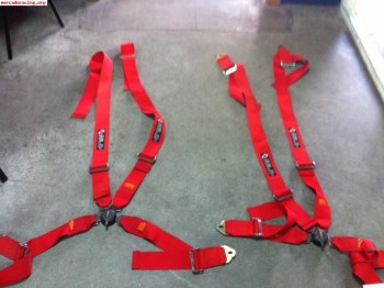 Arneses xbel rojos caducados e impolutos 4 puntos