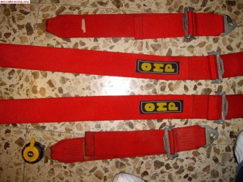 Se venden pareja de arneses