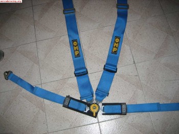 Arnes omp 4 ptos azul 50 euros