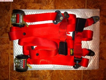 Cinturones rojos validos para r5 gt turbo