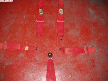 Arneses anchos 6 puntos hasta 2014