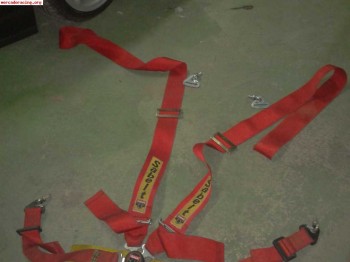 Arneses sabelt cadudados