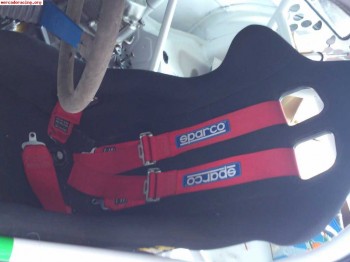 Arneses sparco caducados