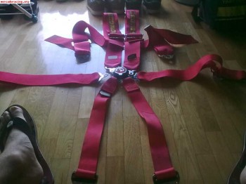 Arneses omp anchos de 6 puntos