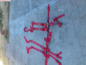 Se venden 4 arneses caducados 