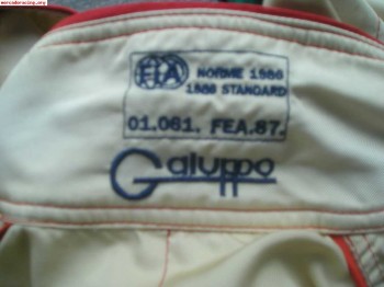 Venta de mono galuppo