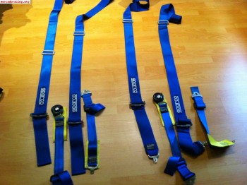 Pareja de arneses sparco 4 puntos