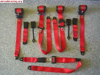 Juego de cinturones rojos completo