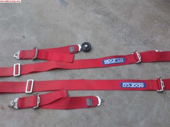 Arnes 4 puntos caducado sparco