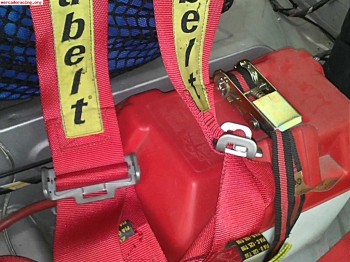 Arneses sabelt homologados fia