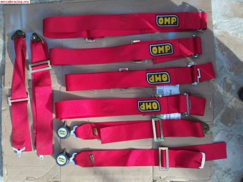 Pareja de arneses omp