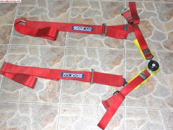 Pareja de arneses caducados 100€