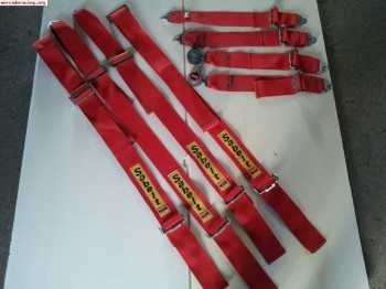 Vendo pareja arneses caducados sabelt 100 euros!!