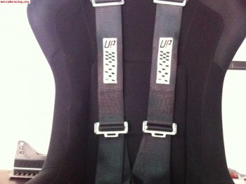 Arnes 4 puntos 50 euros