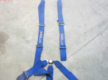 Venda arnes sparco 5p