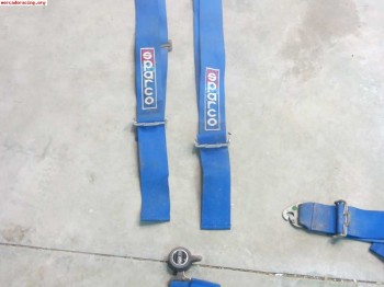 Venda arnes sparco 3p