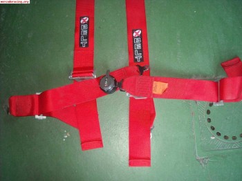 Arnes xbelt 4puntos 65e