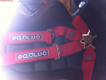 Arnes caducado y bacquets con un año