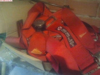 Se vende arneses caducados y baquets en vigor de fibra