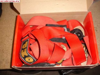 Cinturones de 4 y 6 puntos