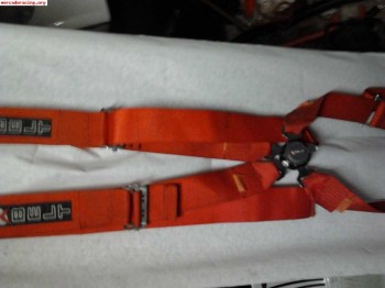 Juego de arneses caducados