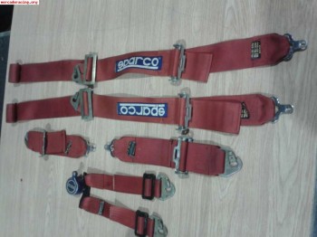 Arnes sparco 6p.