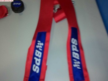 Arneses anchos competicion sabelt