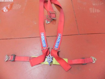 Arnes sparco 4 puntos