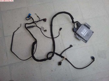 Centralita pts con instalación 206 desafio frances