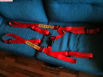 Baquet omp mas arneses sabelt