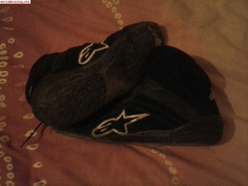 Botines alpinestar
