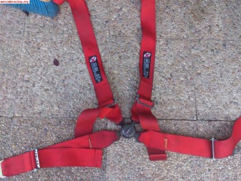 2 arneses 4 puntos caducados