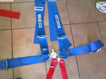 Arnés sparco 6 puntos