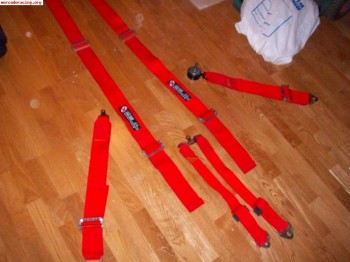 Arnes x-belt de 6 puntos