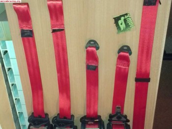 Cinturones rojos de 106 rally 